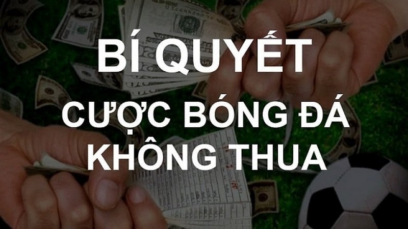 Cách chơi cá độ bóng đá khong thua